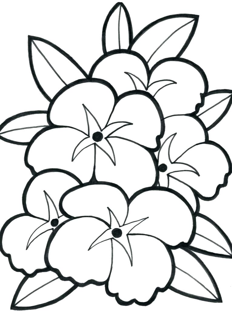 765x1024 Cool Flower Coloring Pages Free Printable Flower Coloring Pages