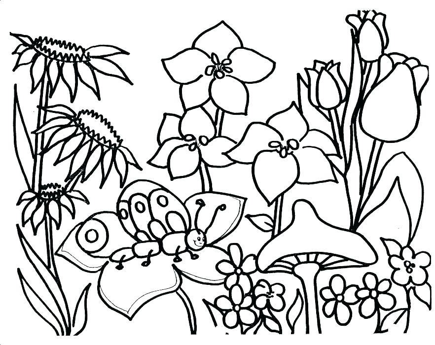 Garden Drawing For Kids | Free download on ClipArtMag