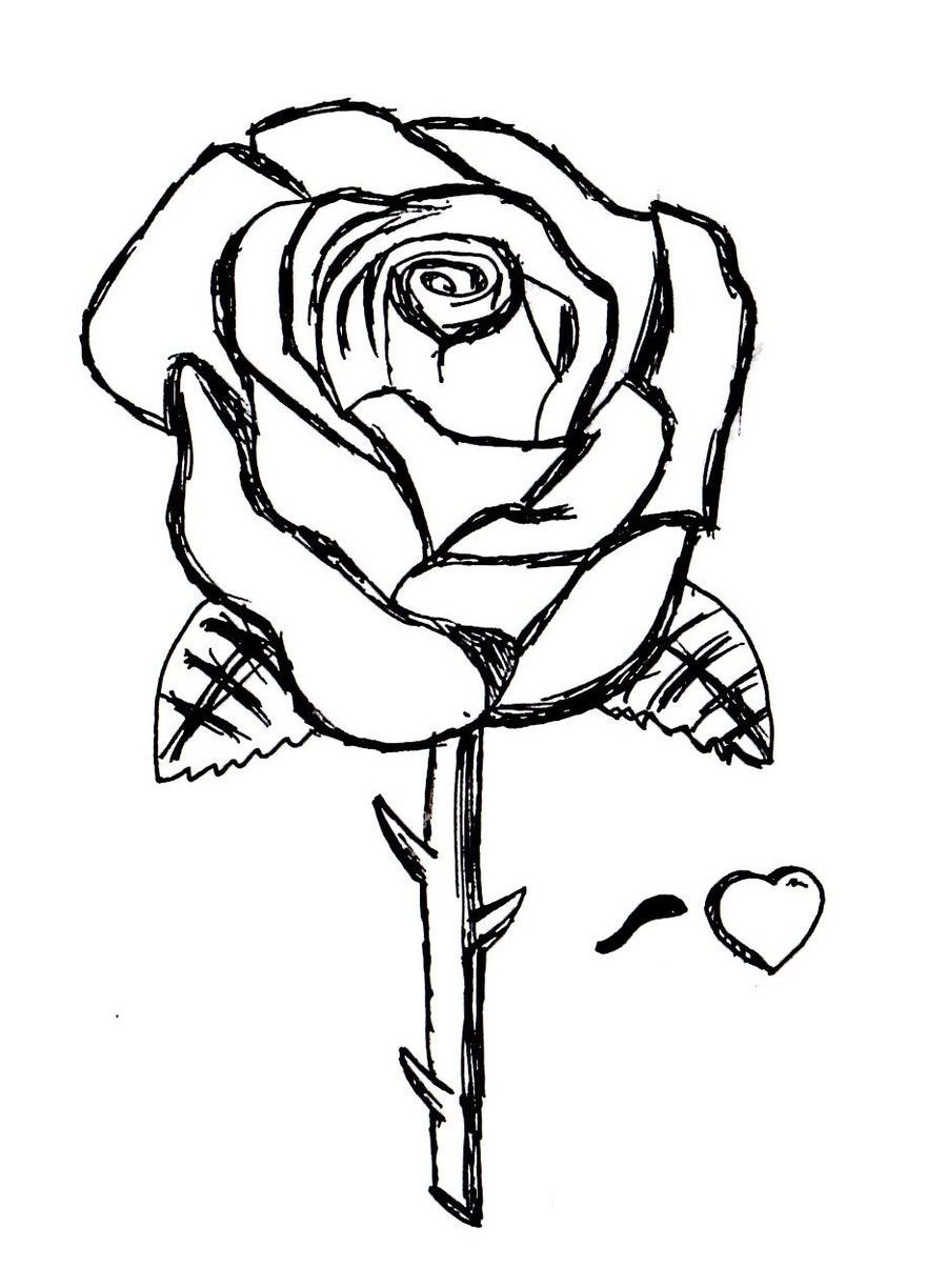 900x1224 Rose Garden Coloring Pages