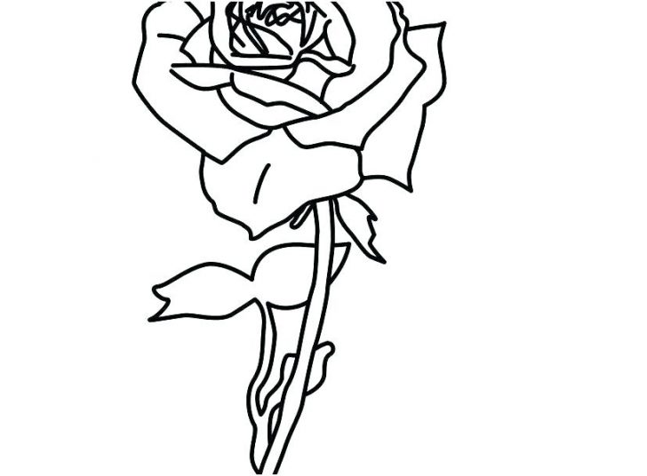 728x536 Valentine Roses And Hearts Coloring Pages Rose Garden Free