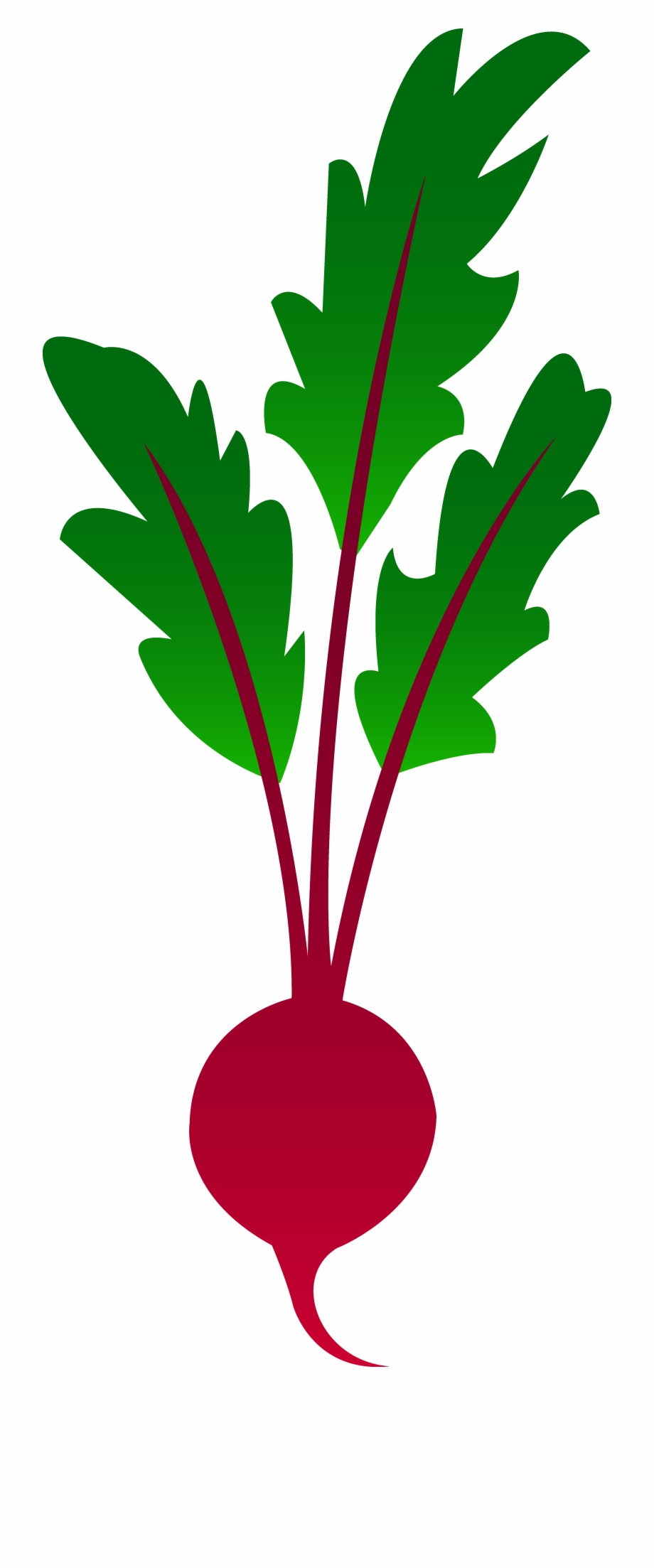 920x2206 Drawing Vegetables Garden Vegetable