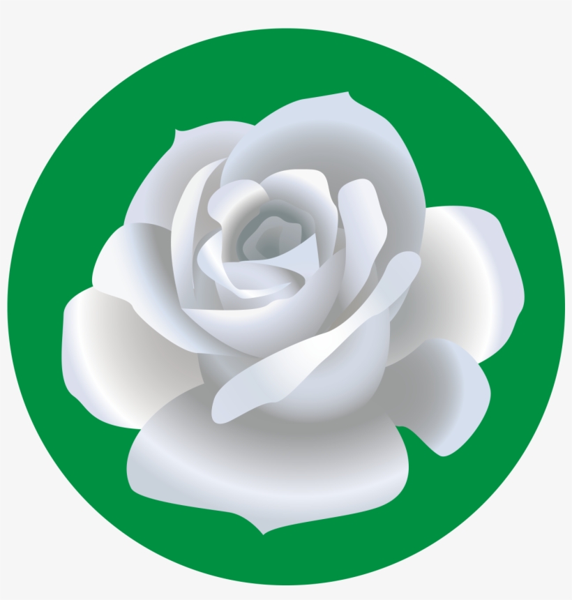 820x860 Garden Roses Beach Rose Drawing Flower