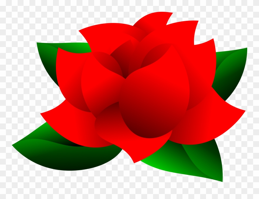 880x677 Garden Roses Computer Icons Drawing Download Line Art