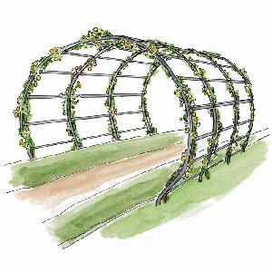 300x300 Moon Gate Pergola From Garden Structures