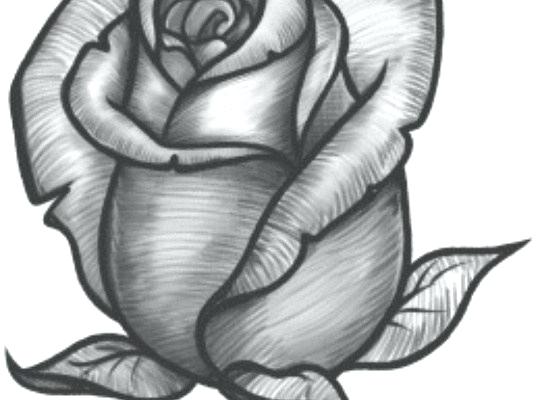 540x400 simple rose bud drawing simple rose bud line drawing