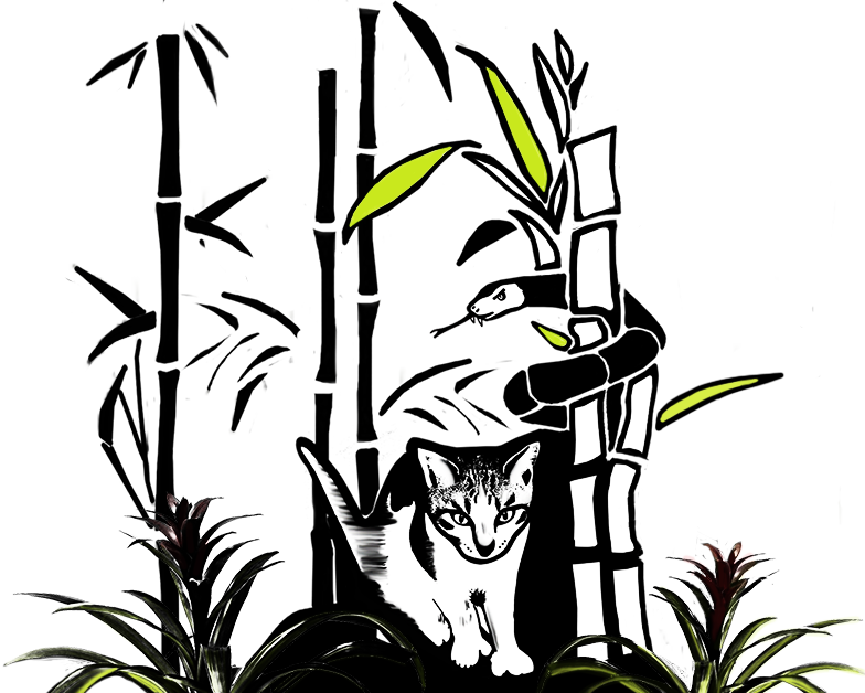 784x628 Hemingways Garden