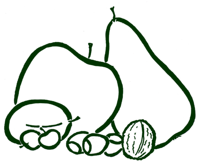 683x564 Plant Your Own Garden Of Eden! For Free! Eco Congregation Ireland