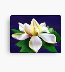 210x230 gardenia drawing canvas prints redbubble