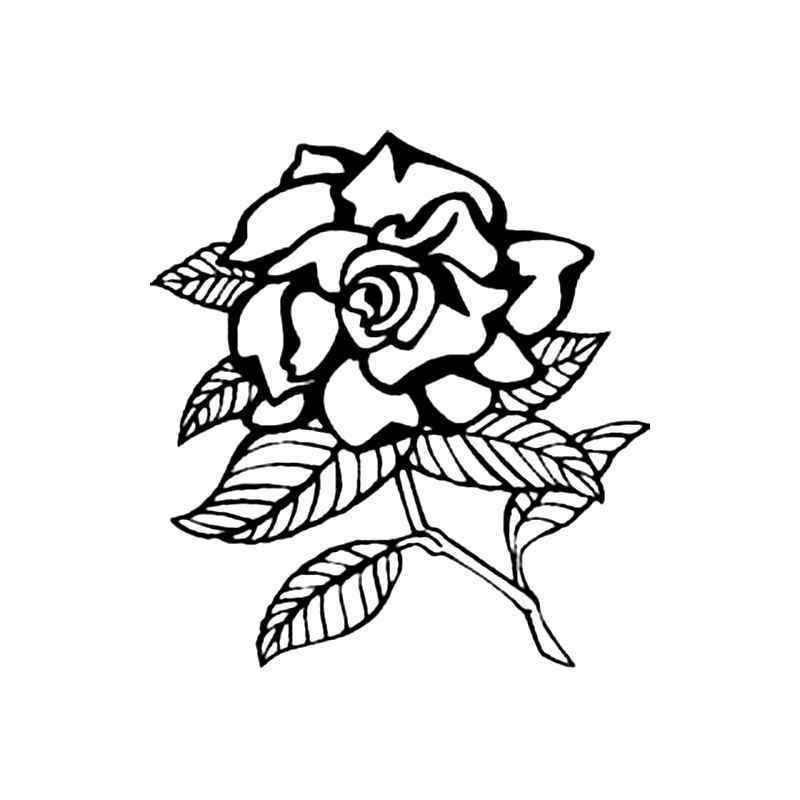 800x800 gardenia s decal