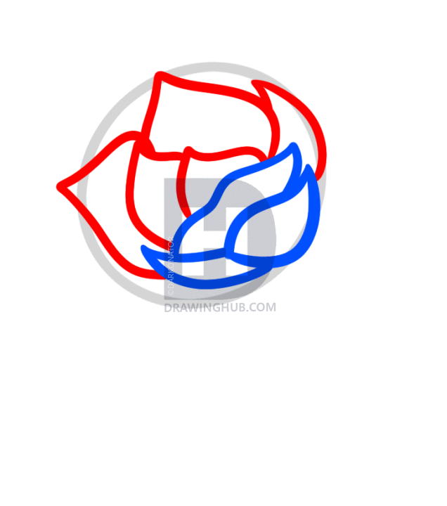 636x720 how to draw a gardenia, step