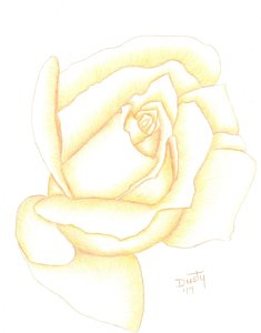 235x300 Pastel Flower Drawings