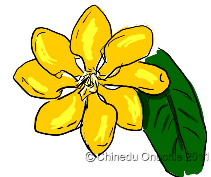 680x573 Purely Fictional Flowers Everywhere!