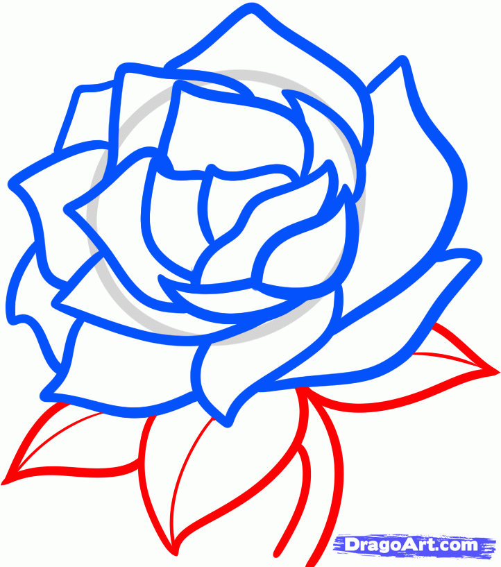 722x817 how to draw a gardenia step things to draw drawings, flower