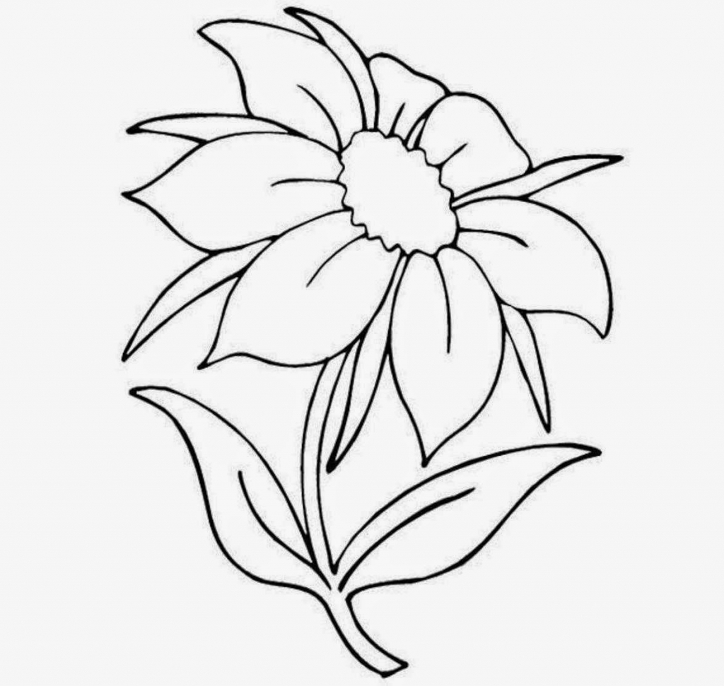 Gardenia Flower Drawing