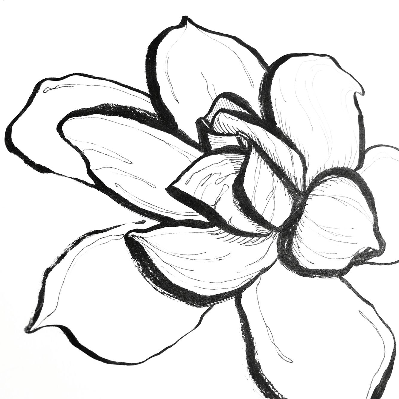 1334x1334 gardenia flowers illustration how to draw hands, brush pen