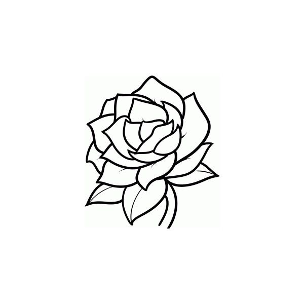600x600 how to draw a gardenia, step