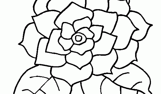 560x329 Impressive Inspiration Color Pages Of Flowers Flower Coloring