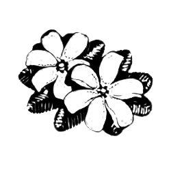 250x250 Monoi Tiare Oil