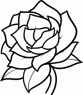 267x302 How To Draw A Gardenia Step Letteringdrawing Drawings