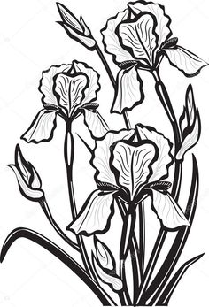236x347 Great Draw Flowers Images Flower Designs, Quote Coloring