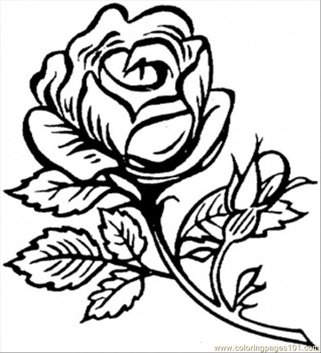 650x715 beautiful flower coloring pages gardenia flower online coloring