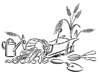 392x300 Garden Tools And Harvest Vegetables With Watering Can Premium