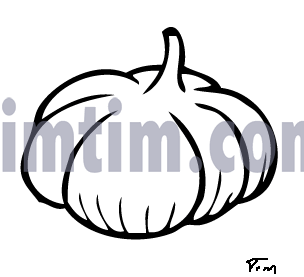 304x277 free drawing of garlic bw from the category cooking food drink