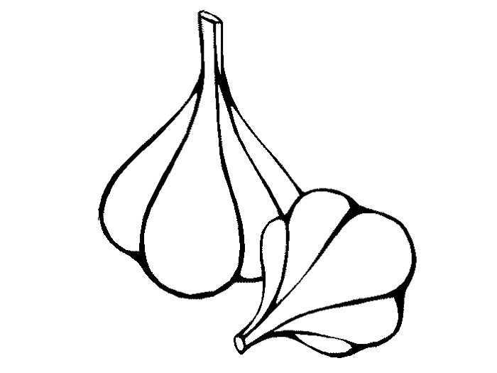 700x525 garlic would make a great tea towel patterns coloring pages