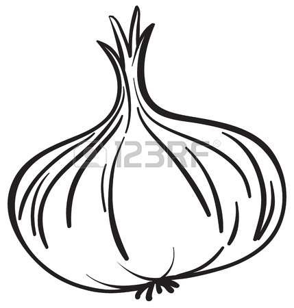 429x450 garlic clipart bawang
