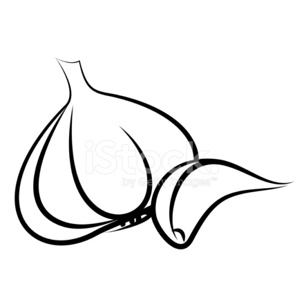 440x440 garlic stock vector