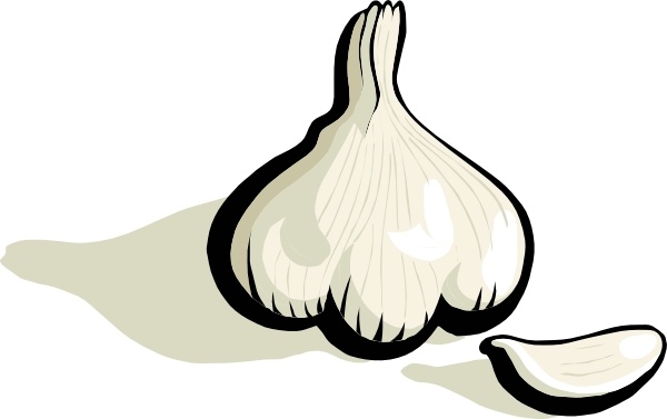 600x377 garlic clip art free vector in open office drawing