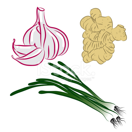 440x440 Vector Drawing Of Onions, Ginger, Garlic Collection Stock Vector
