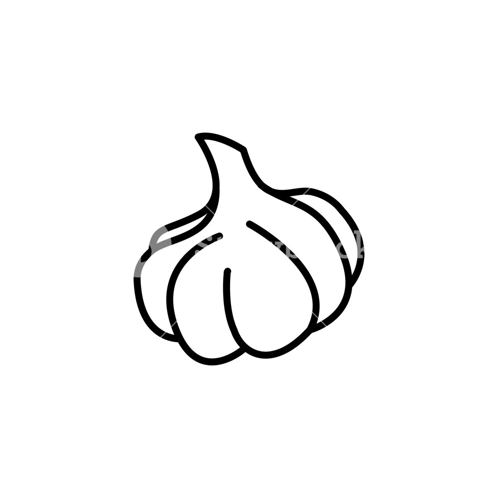 1000x1000 Web Line Icon Garlic Royalty Free Stock Image