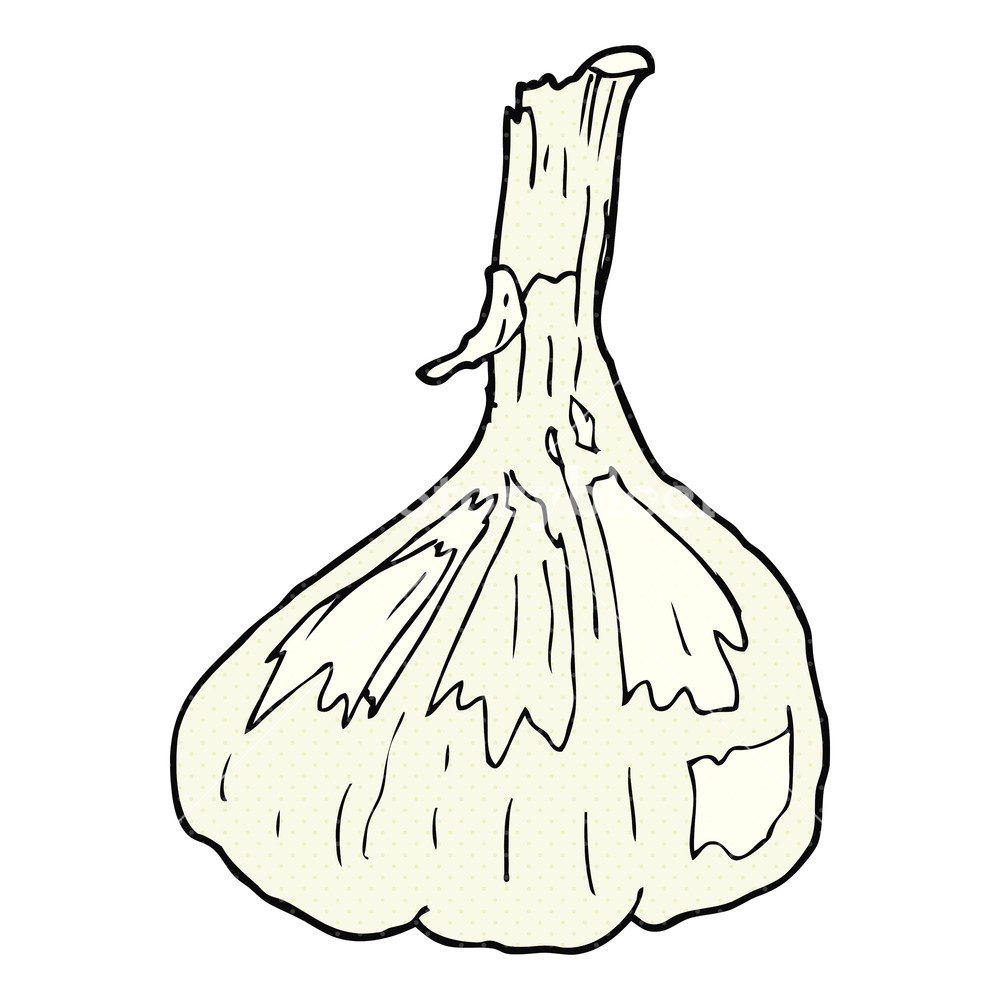1000x1000 Freehand Drawn Cartoon Garlic Royalty Free Stock Image