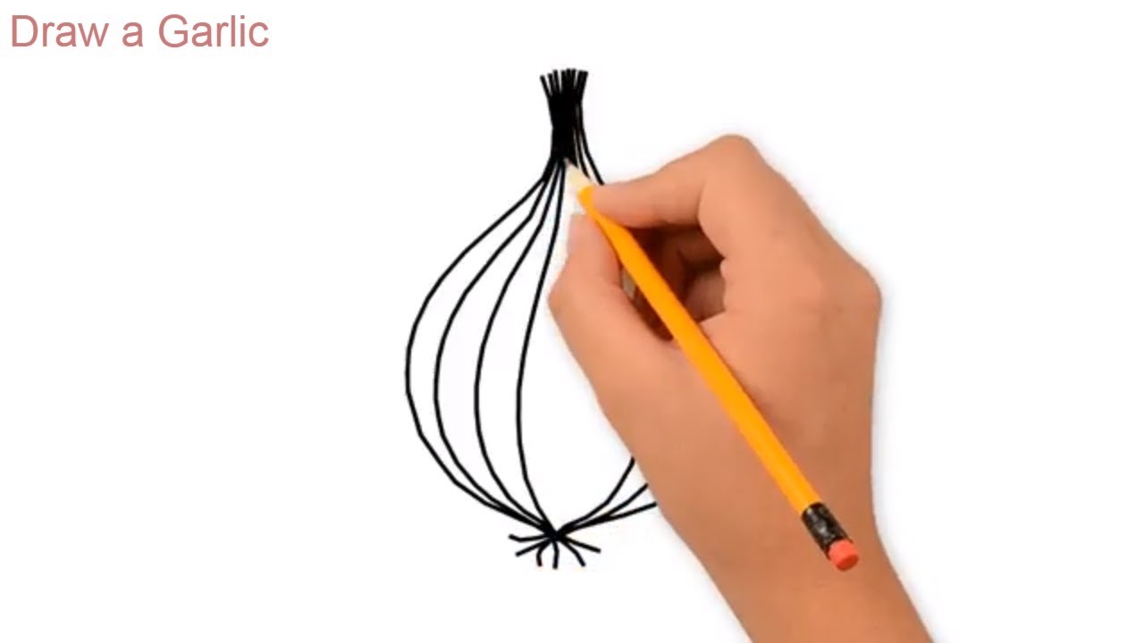 1280x720 Garlic Drawing