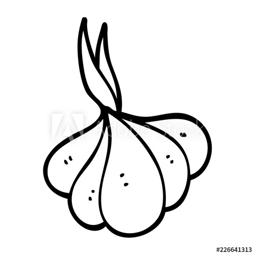 500x500 Line Drawing Cartoon Sprouting Garlic