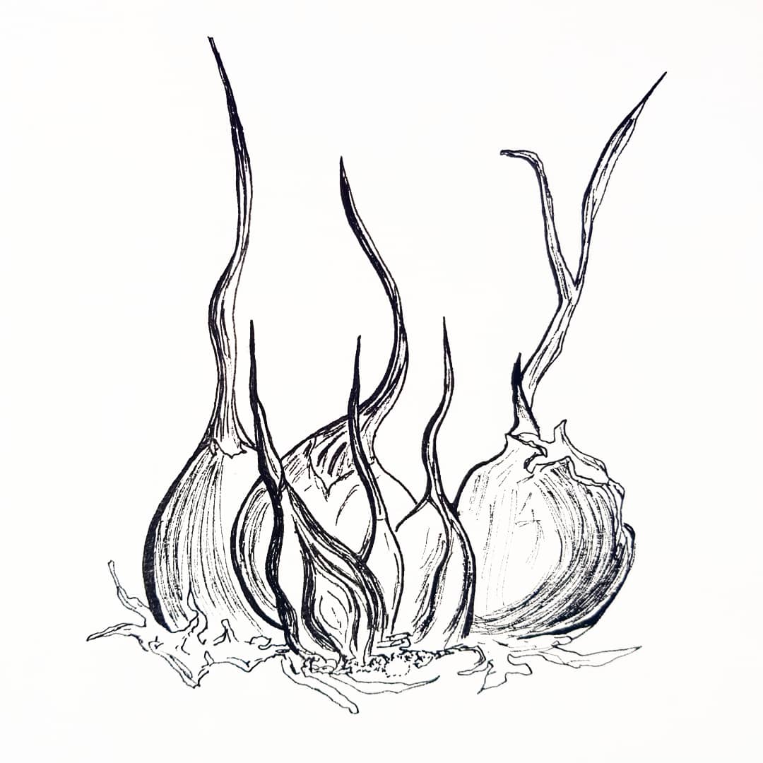 1080x1080 art on a bootstrap garlic bulb