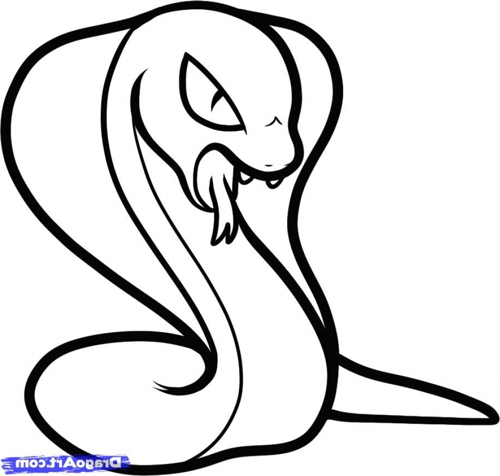 Garter Snake Drawing