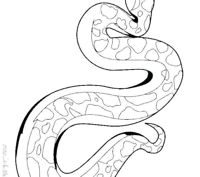 Garter Snake Drawing | Free download on ClipArtMag