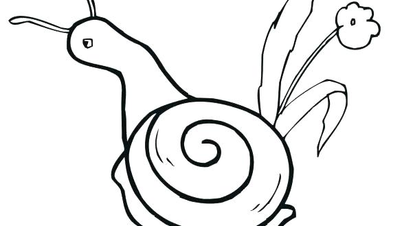 585x329 Snail Coloring