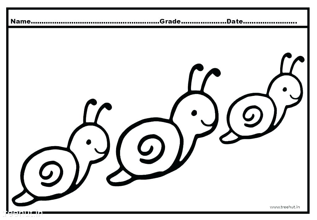 1024x709 Snail Coloring Pages It S Here