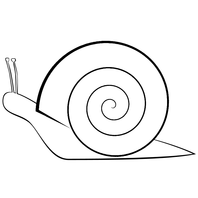 800x800 Snail Drawing Free Download