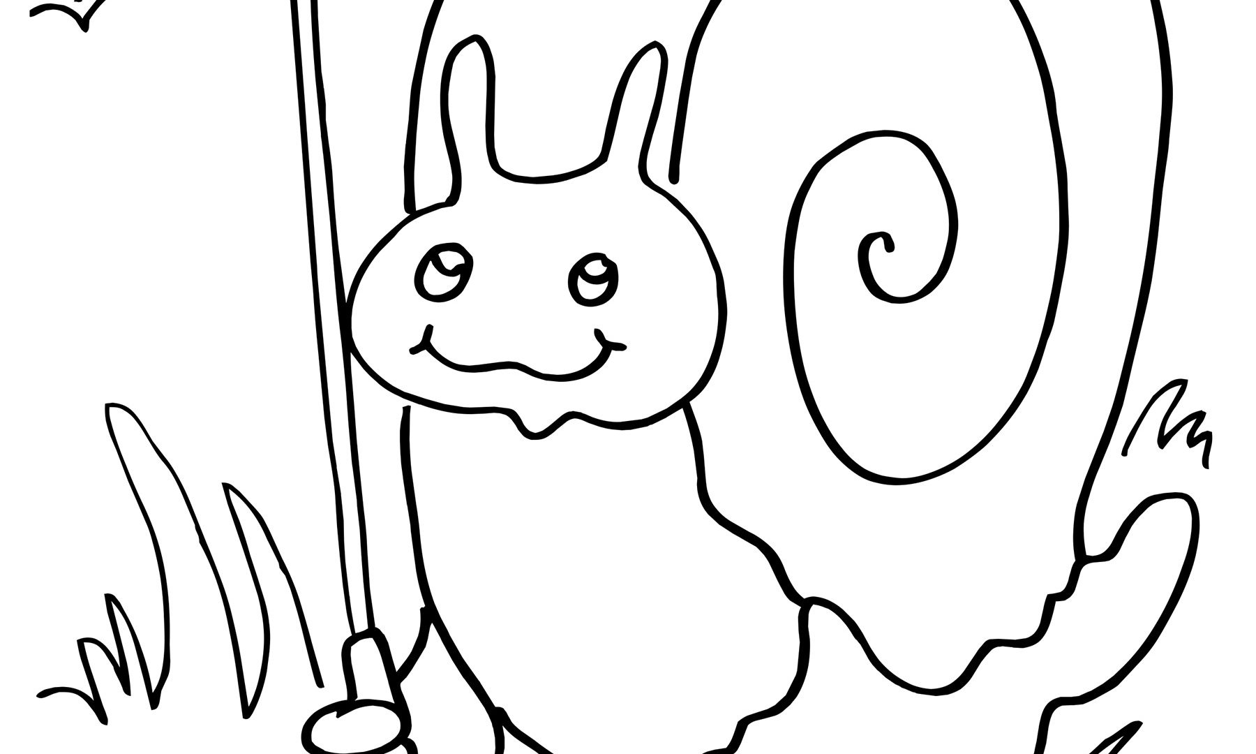 1800x1080 Fresh Snail Coloring Sheet Design