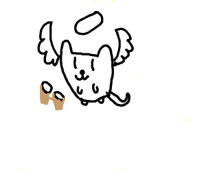 300x250 Bongo Cat