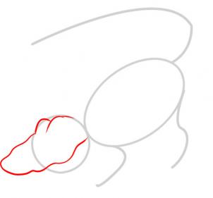 302x281 Draw A Gator, Step