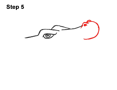 500x386 How To Draw A Crocodile Alligator