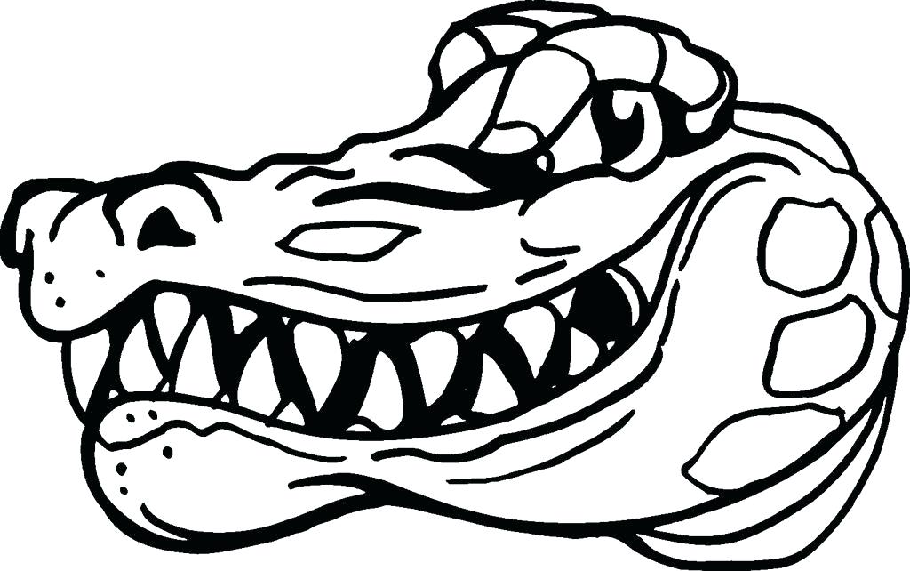 1024x642 Gator Coloring Pages