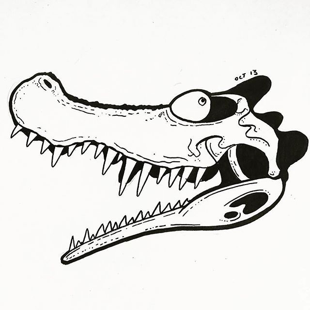 640x640 Inside The Gator Dile's Head