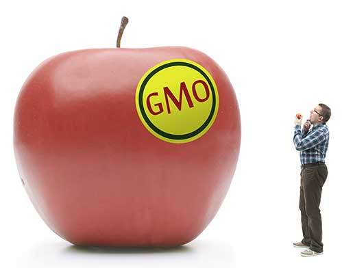 499x392 gmo labeling update gatorade and vermont garden