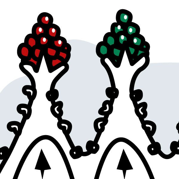 600x600 Gaudi, Dibujos De Montse Noguera Viajes Escolares